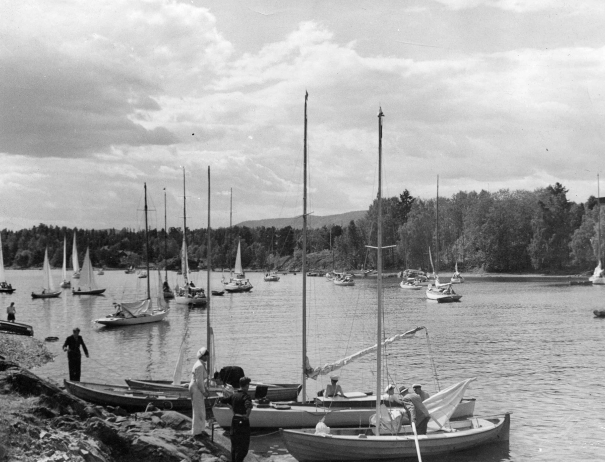 Anders Beer Wilse, Seilsport