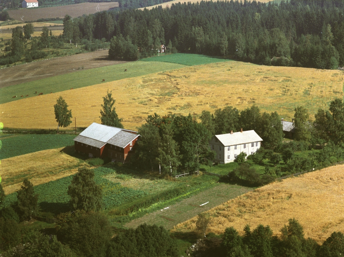 Widerøes Flyveselskap A/S, Flyfoto av Tangnes nordre, Gaupen, Hedmark.