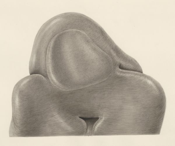 H.G Wetselaar, Embryonic tissue