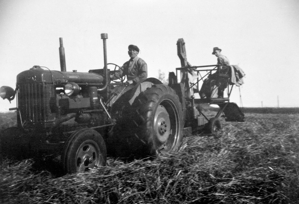 Anno Domkirkeodden, SKURONN, SKURTRØSKING, SKURTRESKER MASSEY-HASIN CLIPPER M/HJELPE-MOTOR, PÅ TRAKTOREN:GUNNAR ILSAAS, ARNE O. SVEEN, FINNSTAD STORE