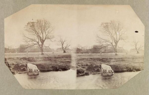 Clementina, Lady Hawarden, Photograph