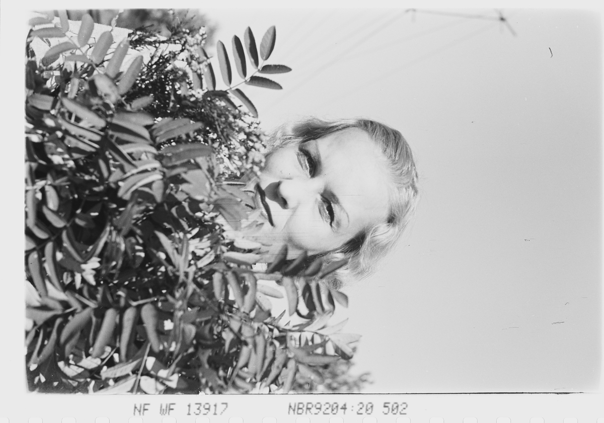 Anders Beer Wilse, Prot: Pike med blomster