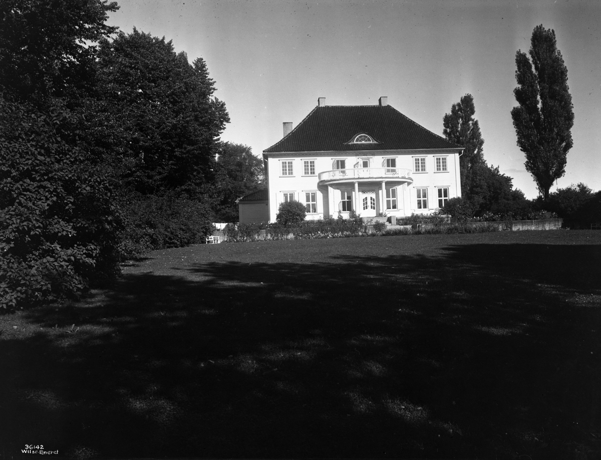 Anders Beer Wilse, Prot: Oslo, Stangs villa, kronprinsens residens