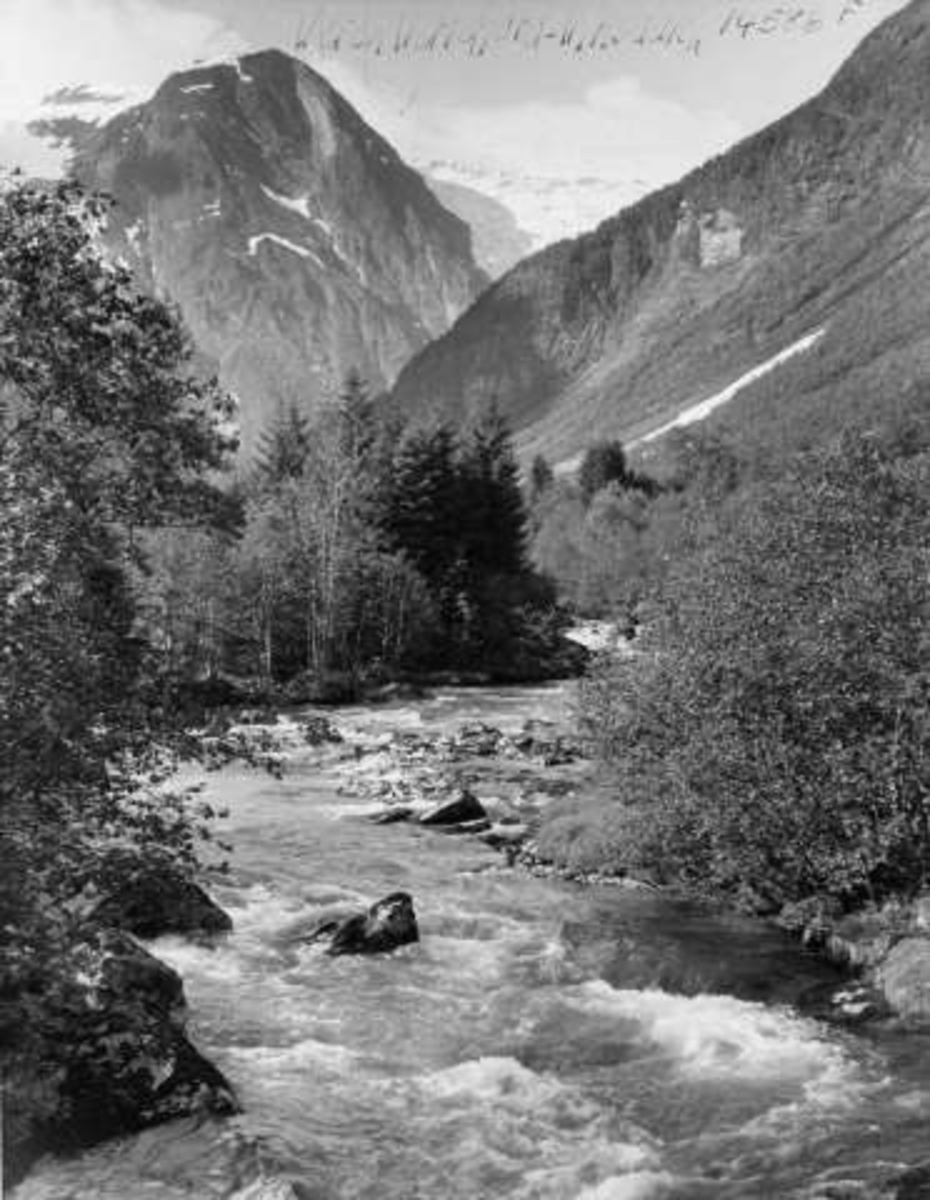 Anders Beer Wilse, -6567