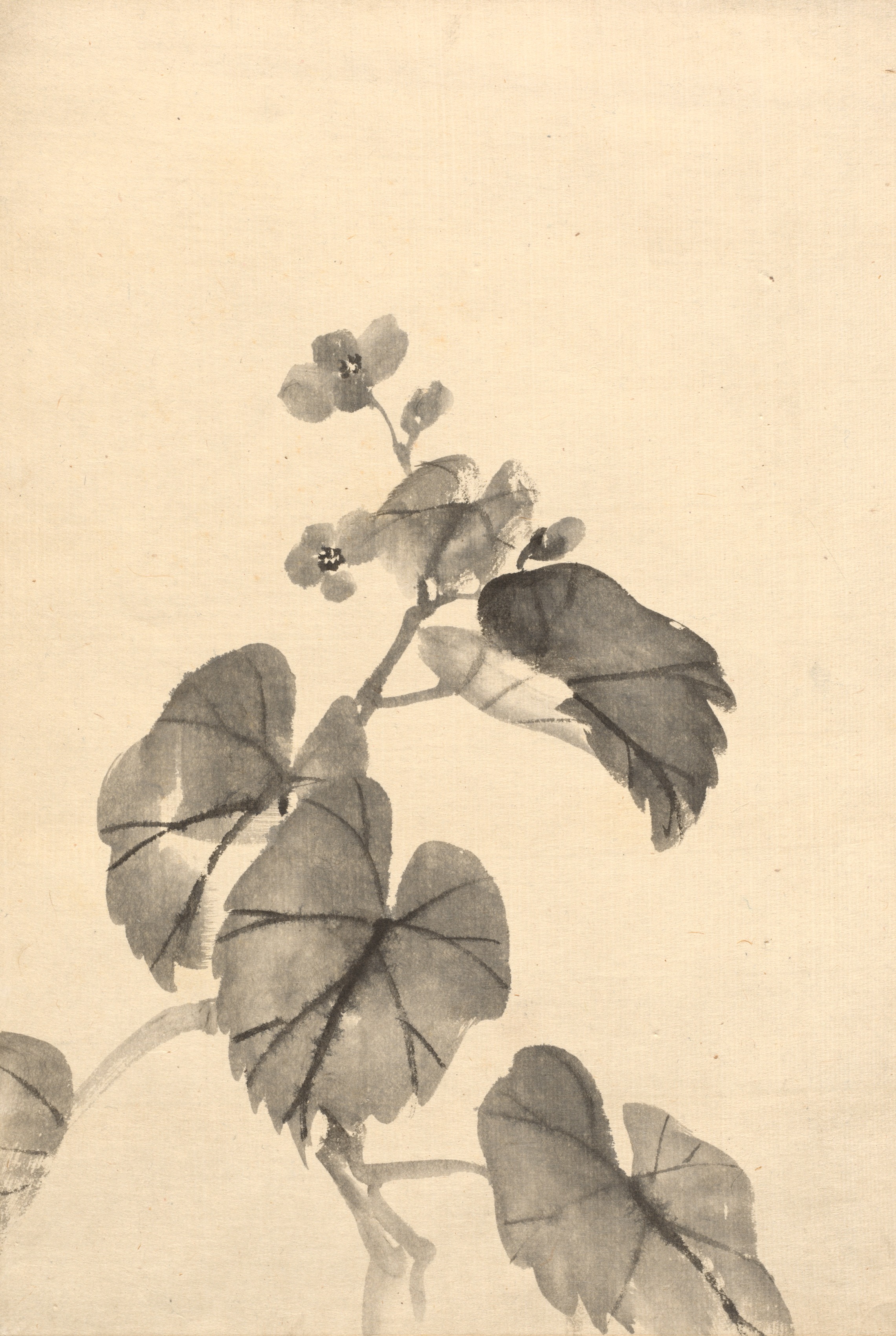 Kono Bairei, Branch of Begonia in Bloom