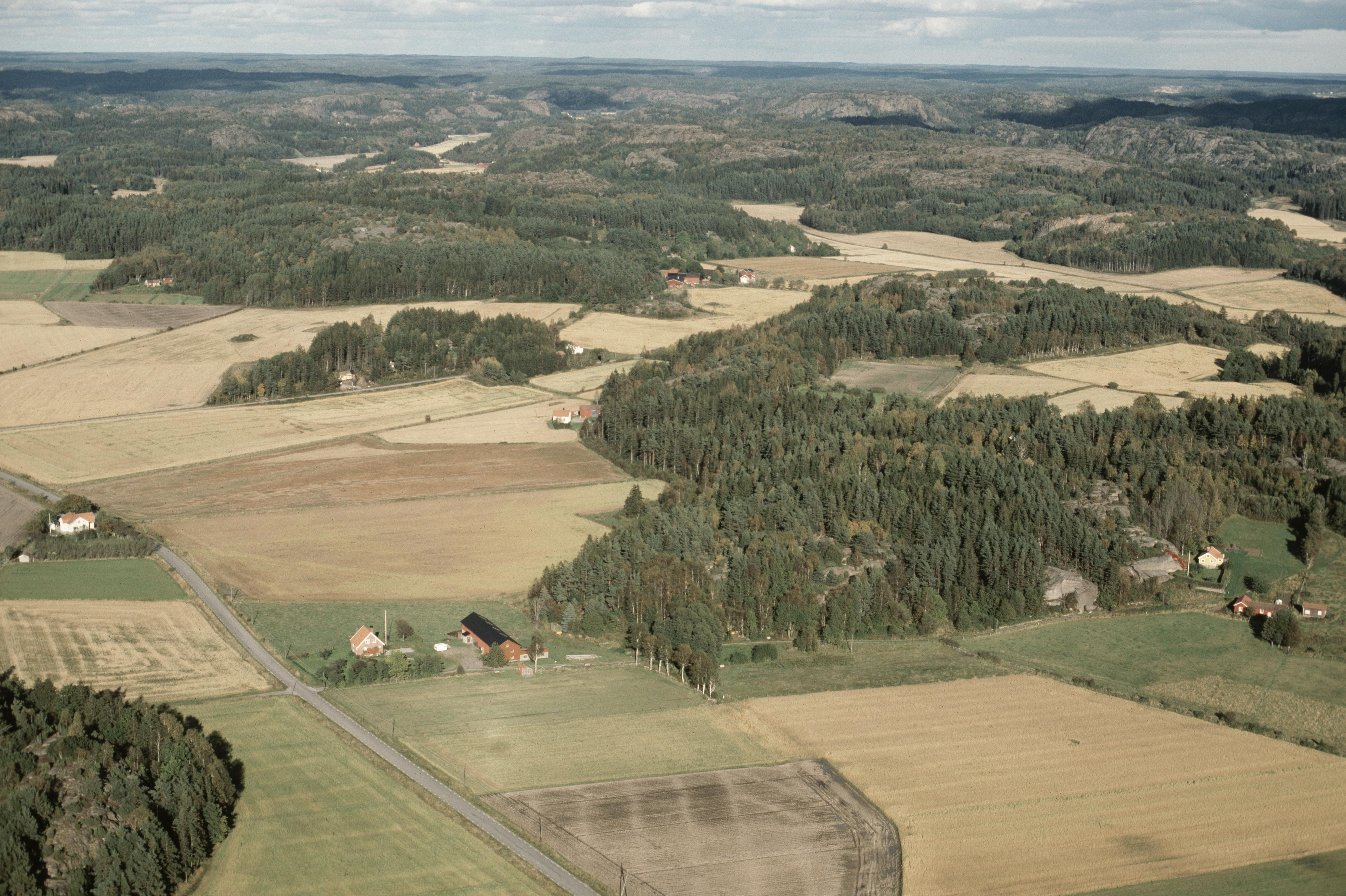 Jan Norrman, Svenneby 34:1