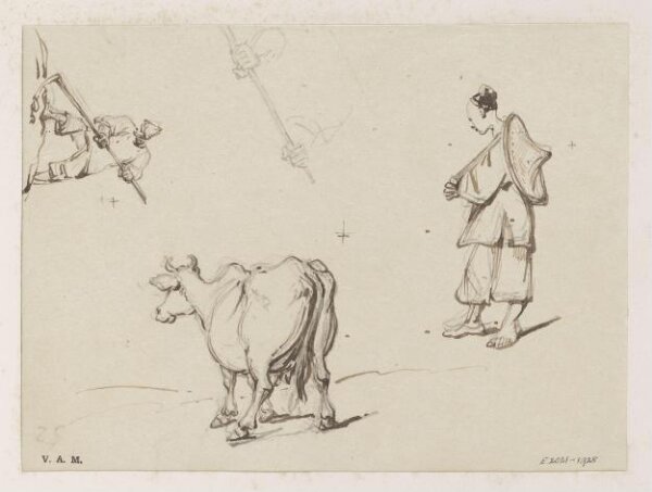 George Chinnery, Drawings of figures and a cow