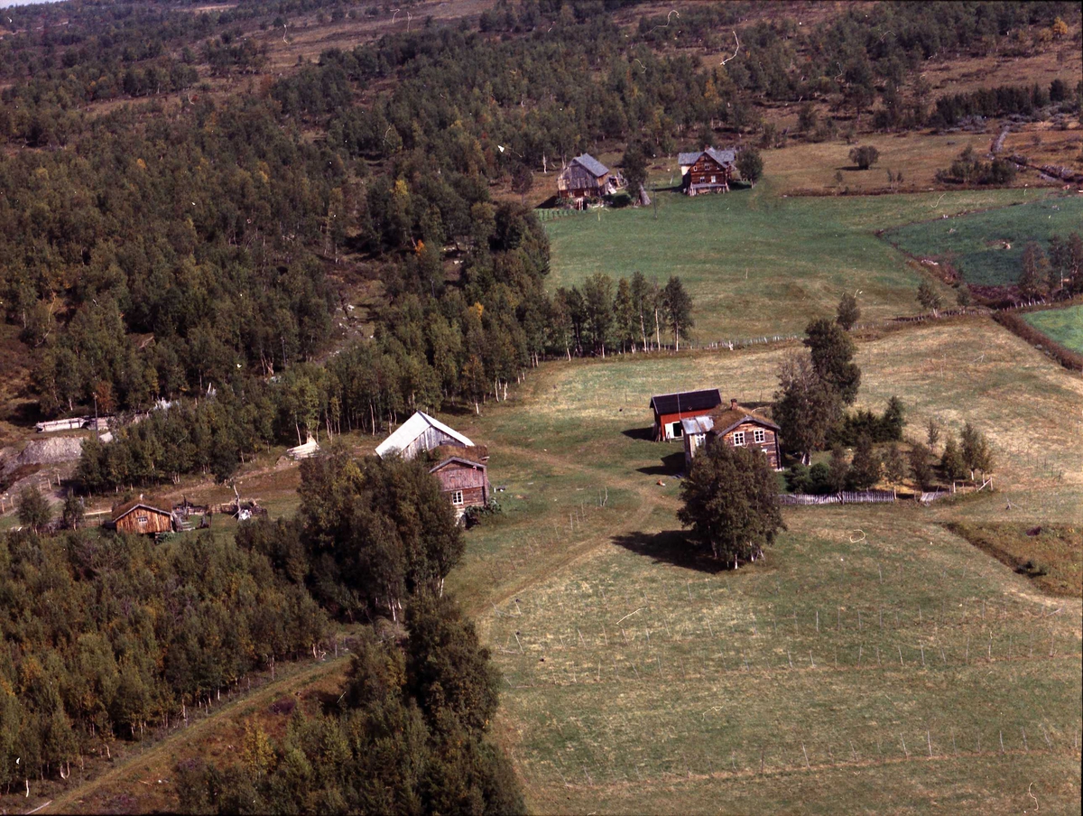 Widerøes Flyveselskap A/S, Gårdsbruk.
