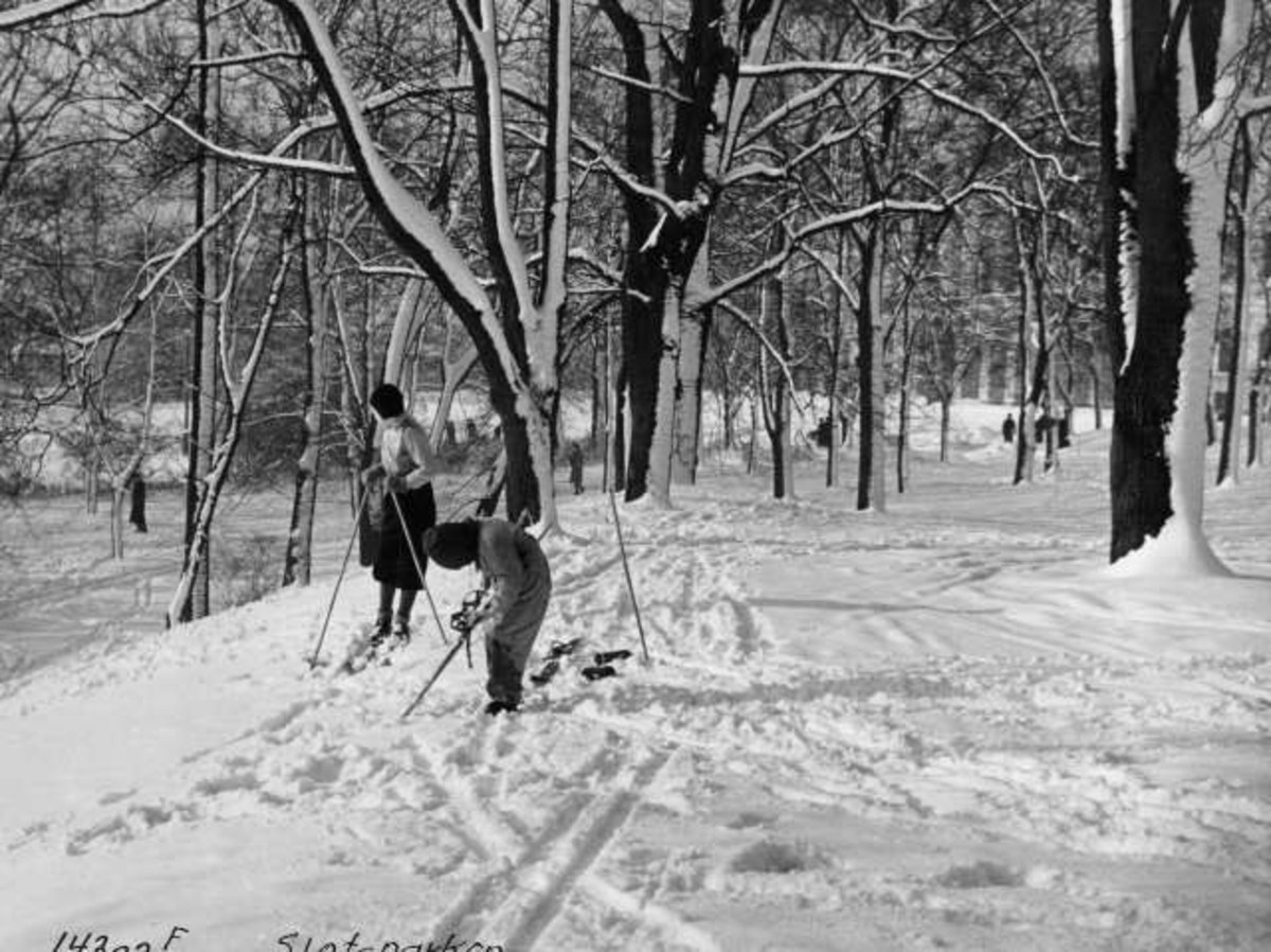 Anders Beer Wilse, Slottsparken, Oslo 1941