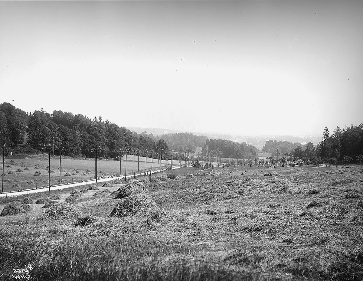 Anders Beer Wilse, Prot: Høsaater ved Ullern Løvenskiold