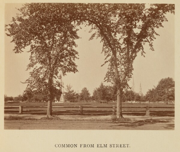 Thomas Lewis, Common from Elm Street