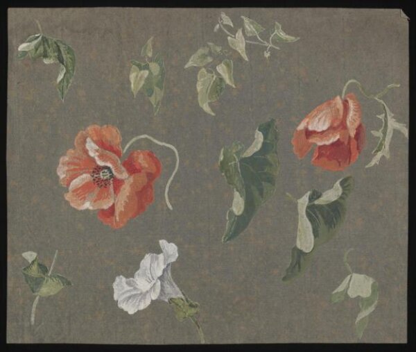 unknown, Drawing