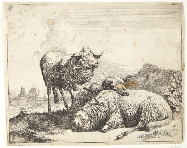 Johann Heinrich Roos, Vædder, stående med det ene ben på et liggende får