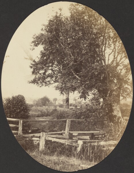 Unknown, [Landscape with a Tree]