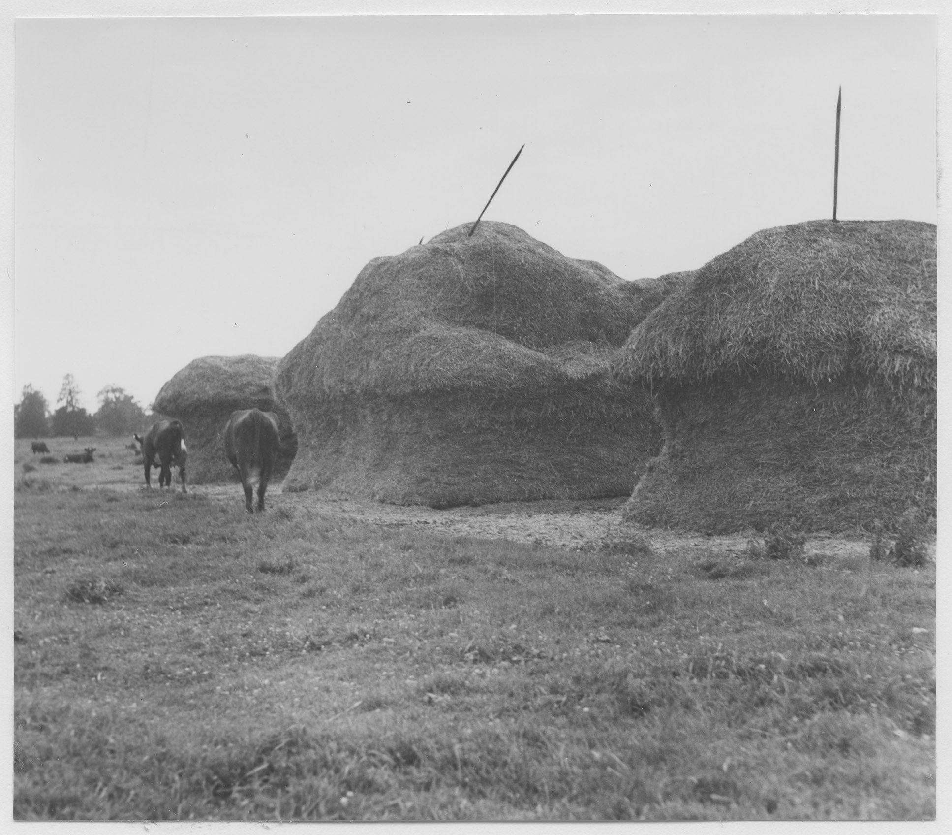 Mårten Sjöbeck, Sätuna säteri