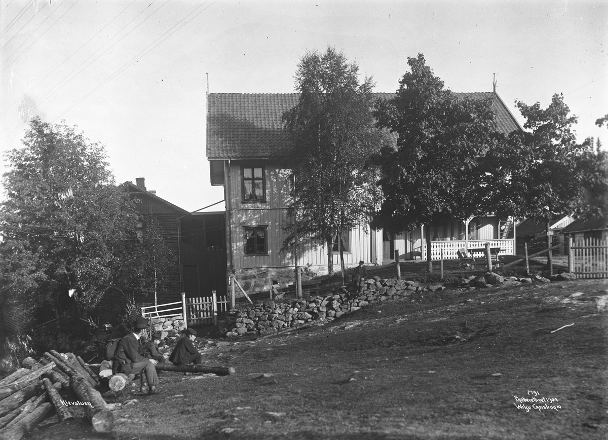 Anders Beer Wilse, Prot: Ringerike Klevstuen 3/9
