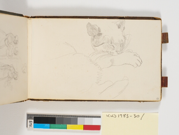 P.C. Skovgaard, Studie af en kat