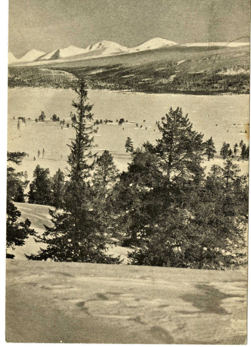 Anders Beer Wilse, Rondane