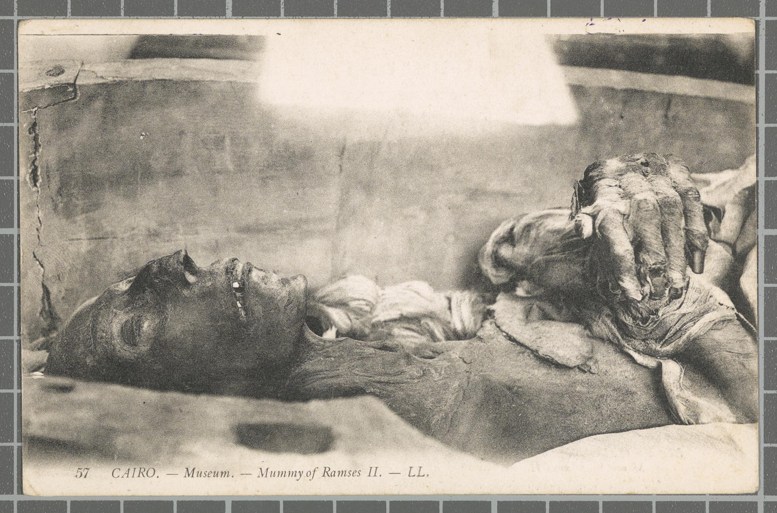Desconegut, 57 Cairo. - Museum. - Mummy of Ramses II