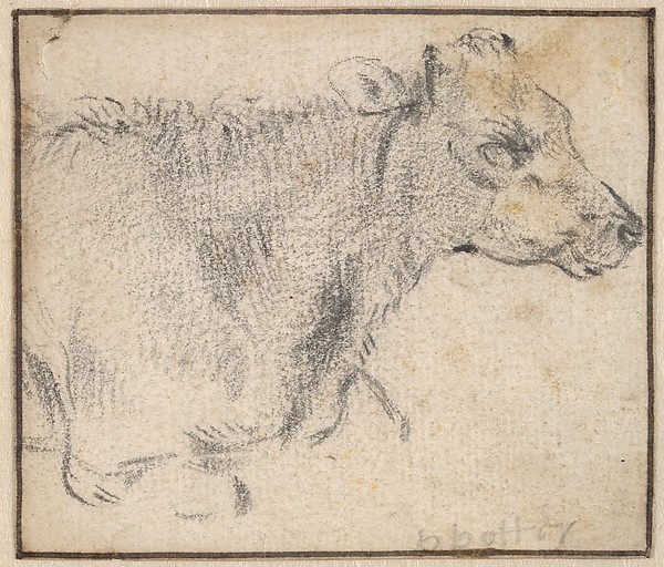 Paulus Potter, Study of a lying cow