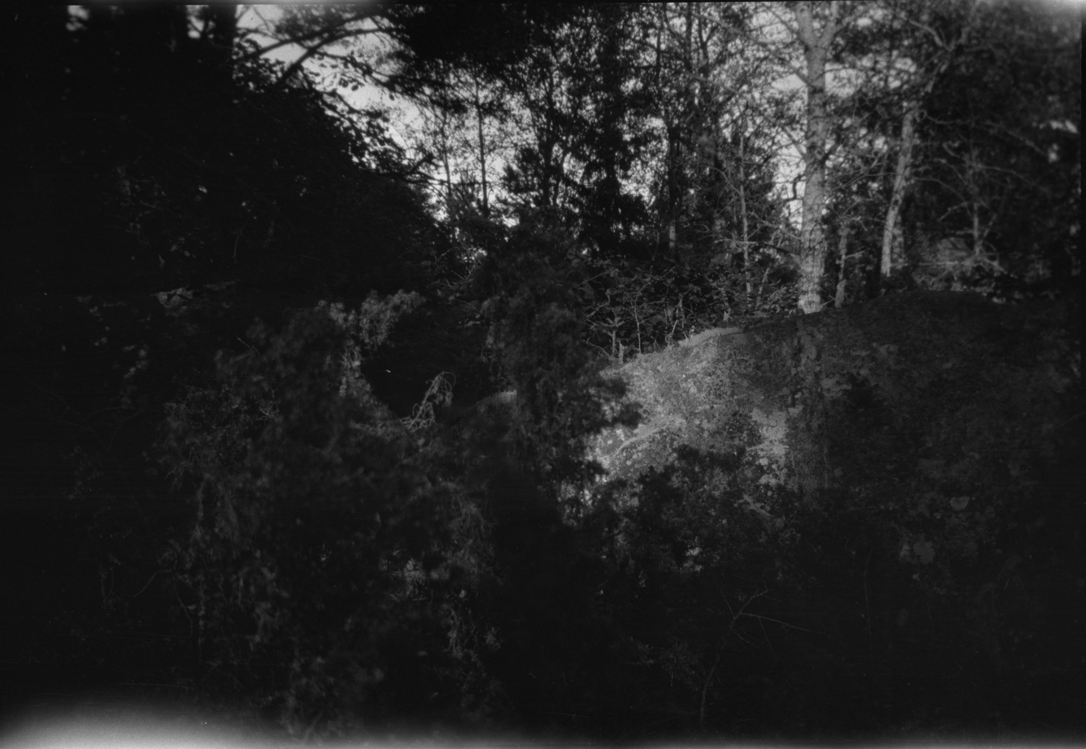 Berit Wallenberg, Alsta