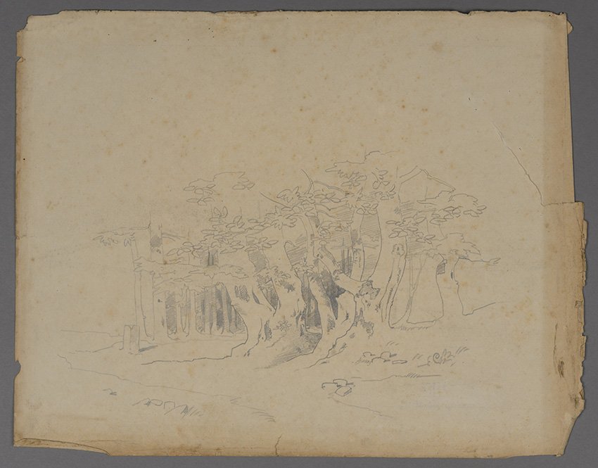 Karl Hagemeister, Buchenwald (rückseitig Wolkenstudie), wohl vor 1880