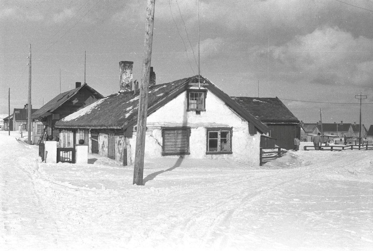 Ola Hanche-Olsen, NO.F004048
