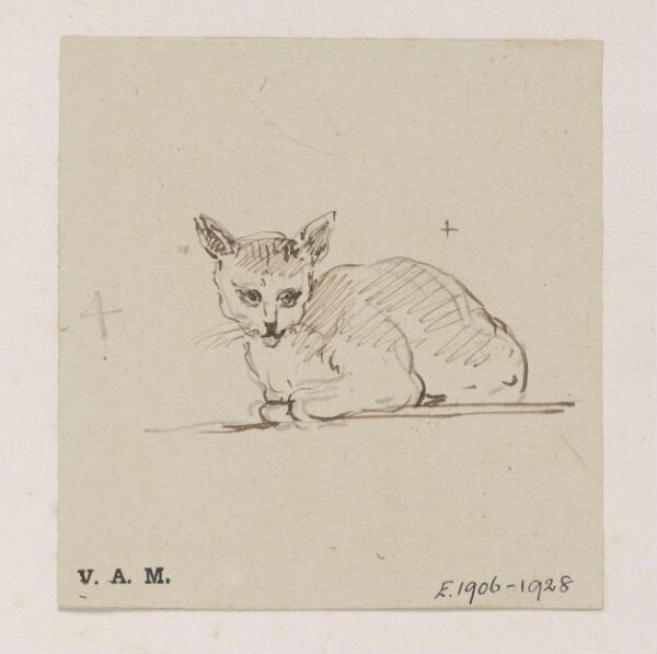 George Chinnery, A cat