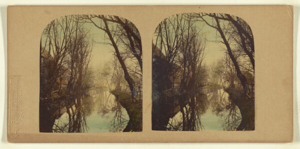 London Stereoscopic and Photographic Company, A View on the River Lea, In Essex.