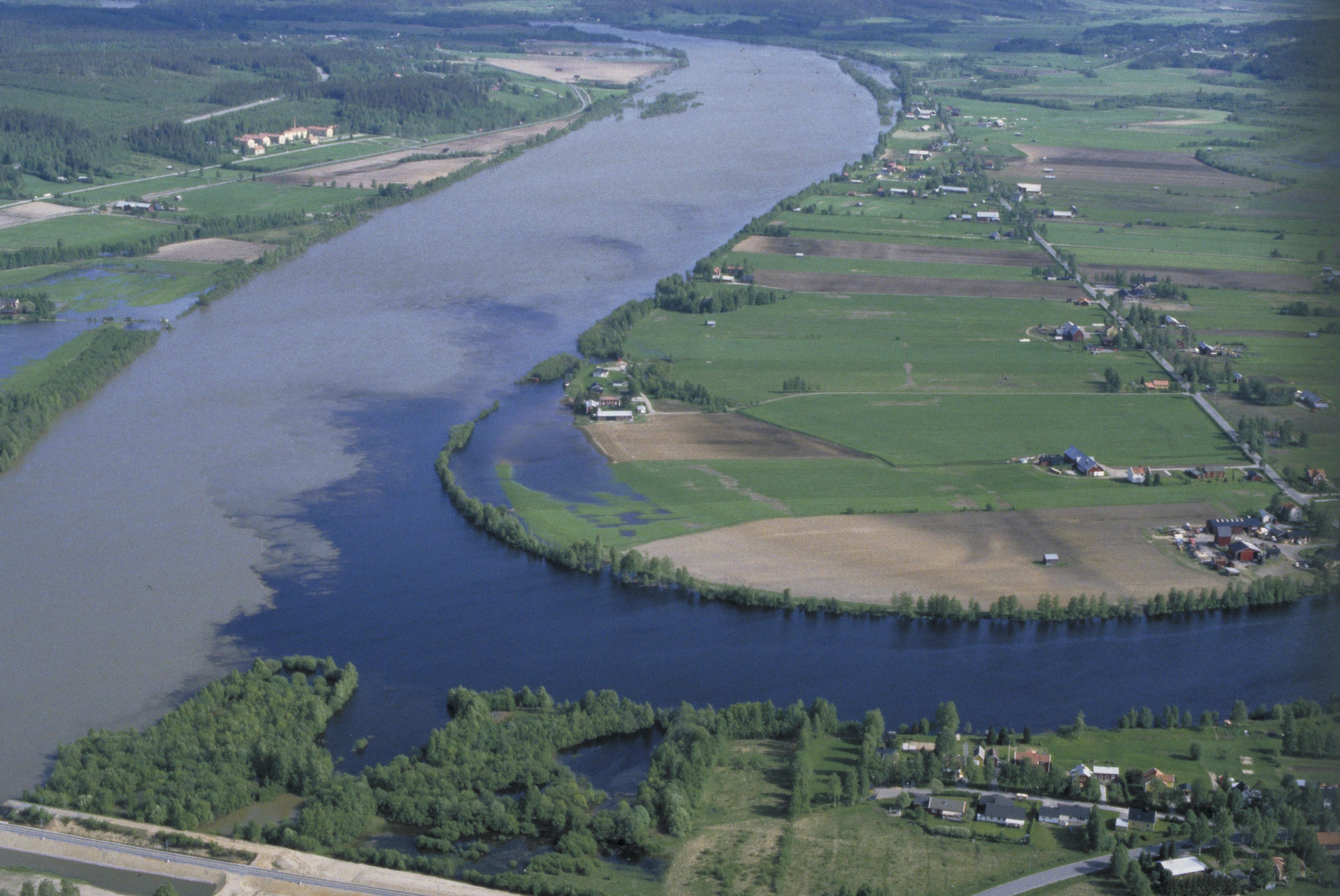 Jan Norrman, Vännäs 149:1