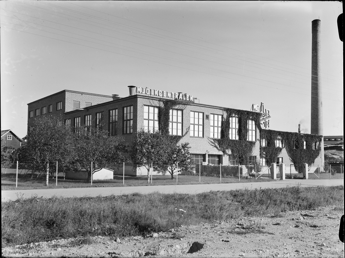 Paul Sandberg, The Milk Centre, Järlåsa, Uppland