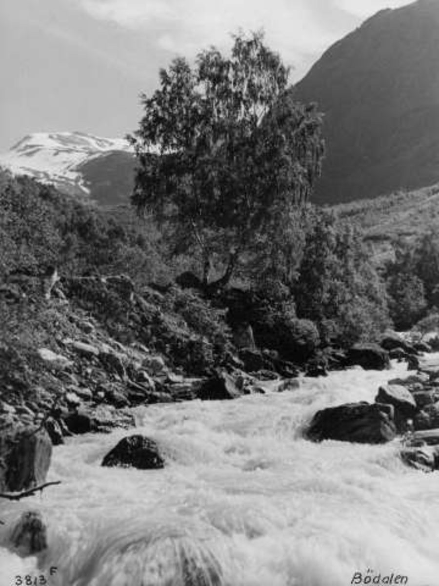 Anders Beer Wilse, -7057