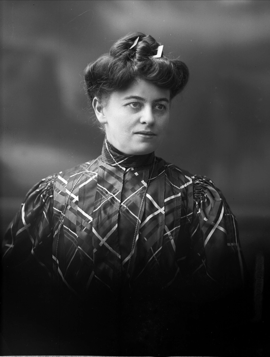 Gustav Borgen, NFB.01412