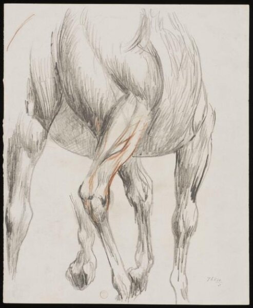 William Etty, Drawing