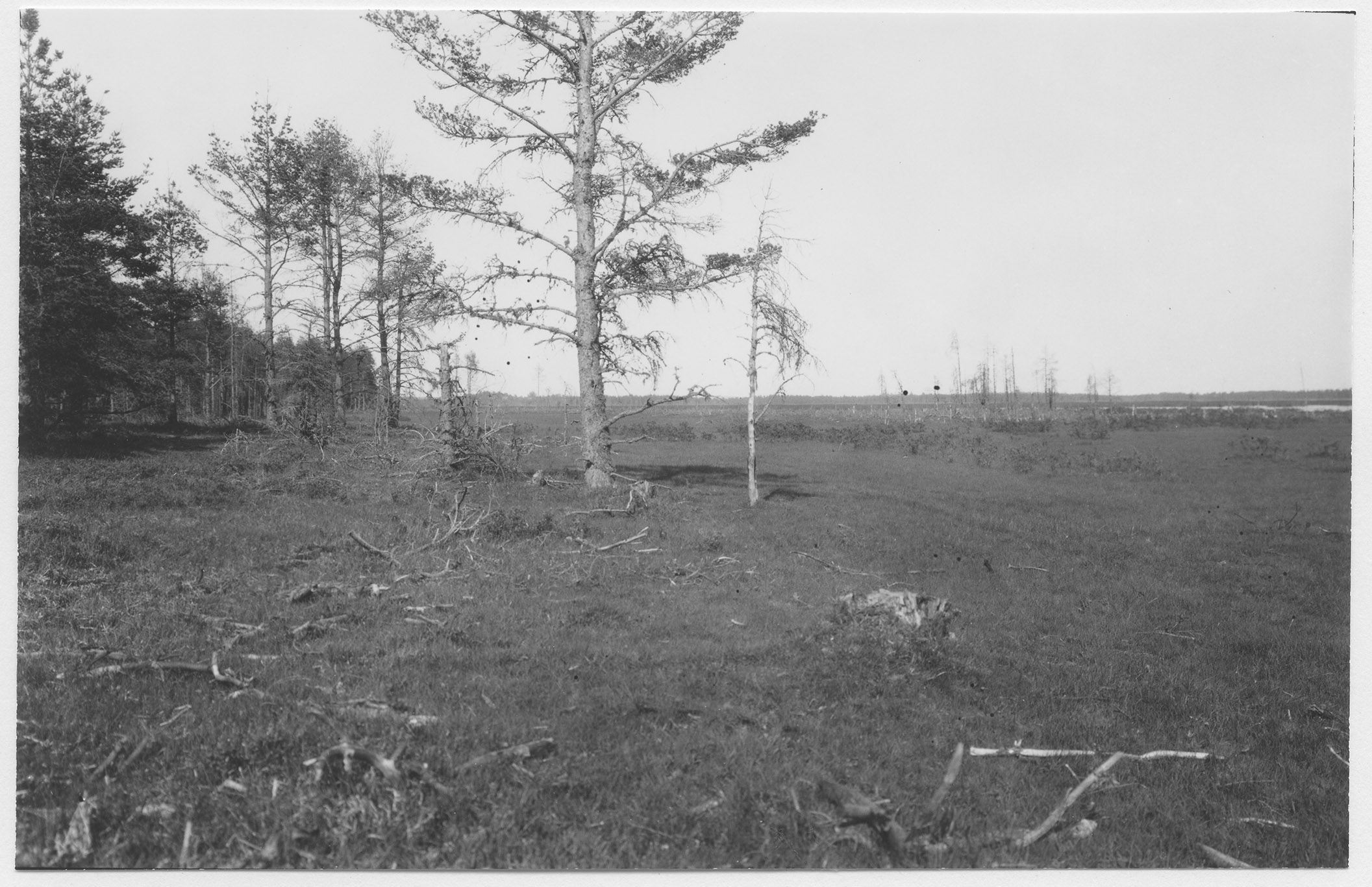 Mårten Sjöbeck, Store Mossen