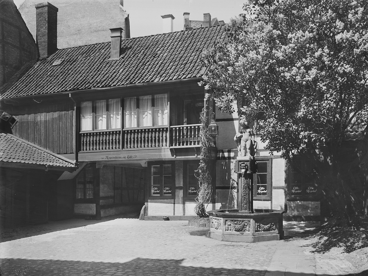Anders Beer Wilse, Prot: Morgenstiernes Eide