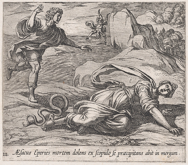 Antonio Tempesta, Plate 111: Aesacus and Hespeia (Aesacus Eperies mortem dolens ex scopulo se praecipitans abit in mergum), from Ovid's 'Metamorphoses'