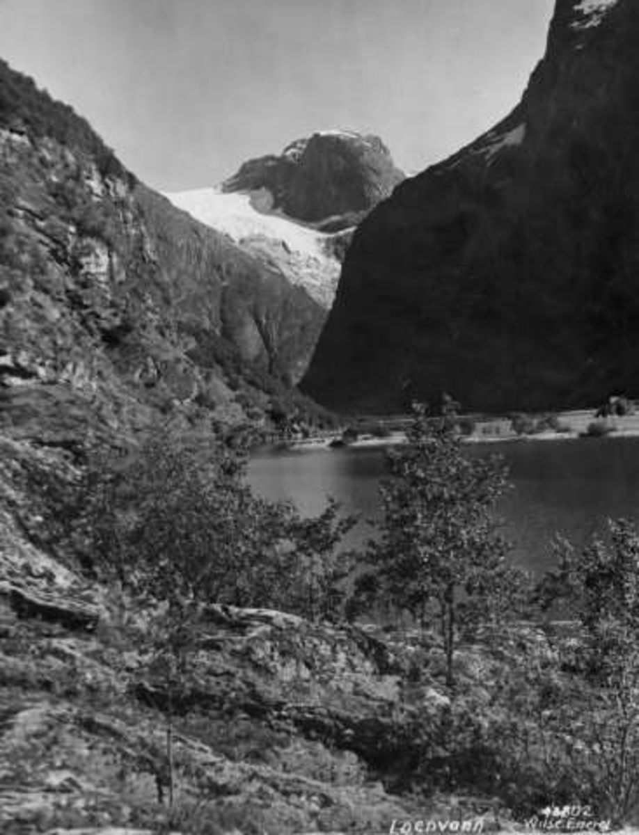 Anders Beer Wilse, -7112