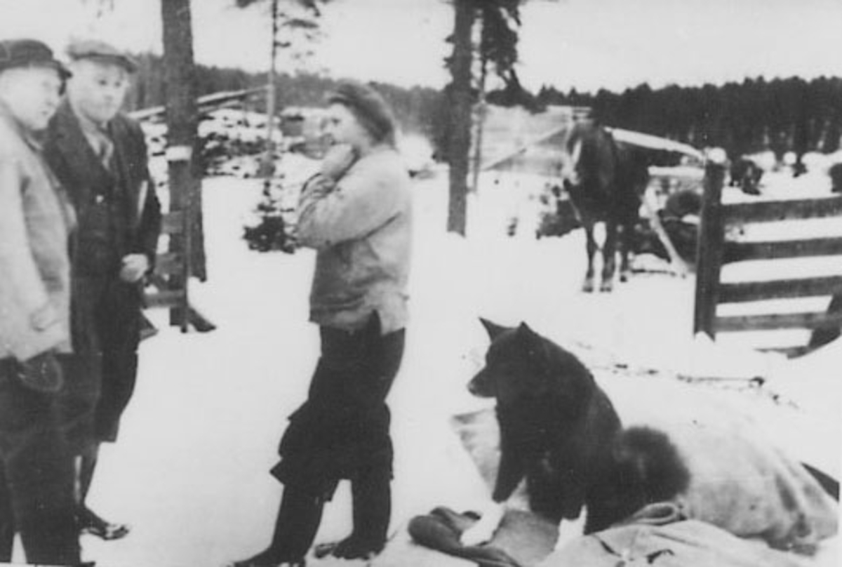 Anno Domkirkeodden, GRUPPE: 3 MENN DISKUTERER TILDELING AV VED, RUSTAD, LJOSLAND, LARS GAUSTAD, HUNDEN TRULS, VINTER, ÅSSAGA