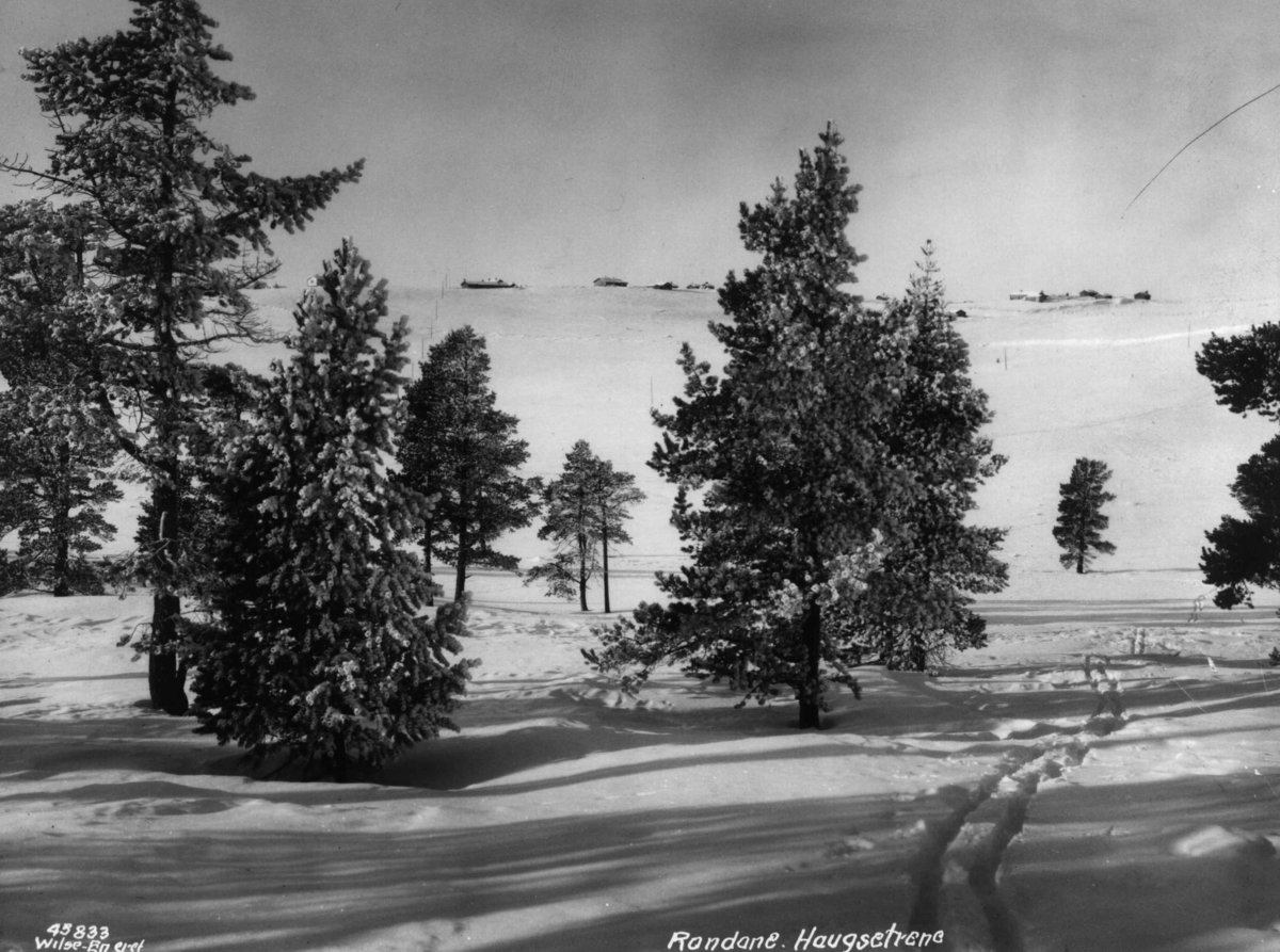 Anders Beer Wilse, Rondane, Haugsetrene, Sno