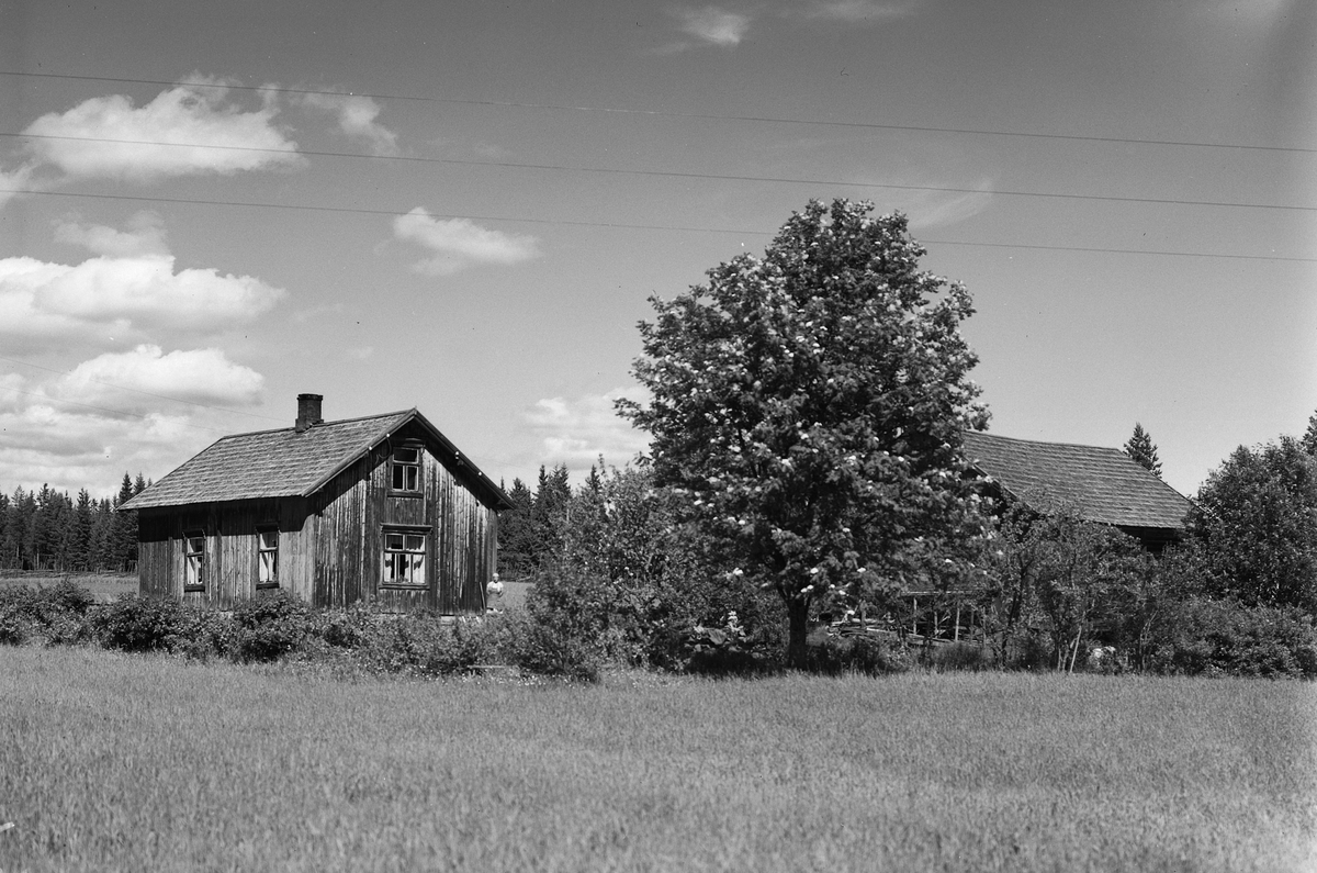 Anno Domkirkeodden, EKSTR: GARDSTUN, PETERSBORG NORDRE. Se Løtenboka, bind 2. Bygdeboka fra 1953, side 131