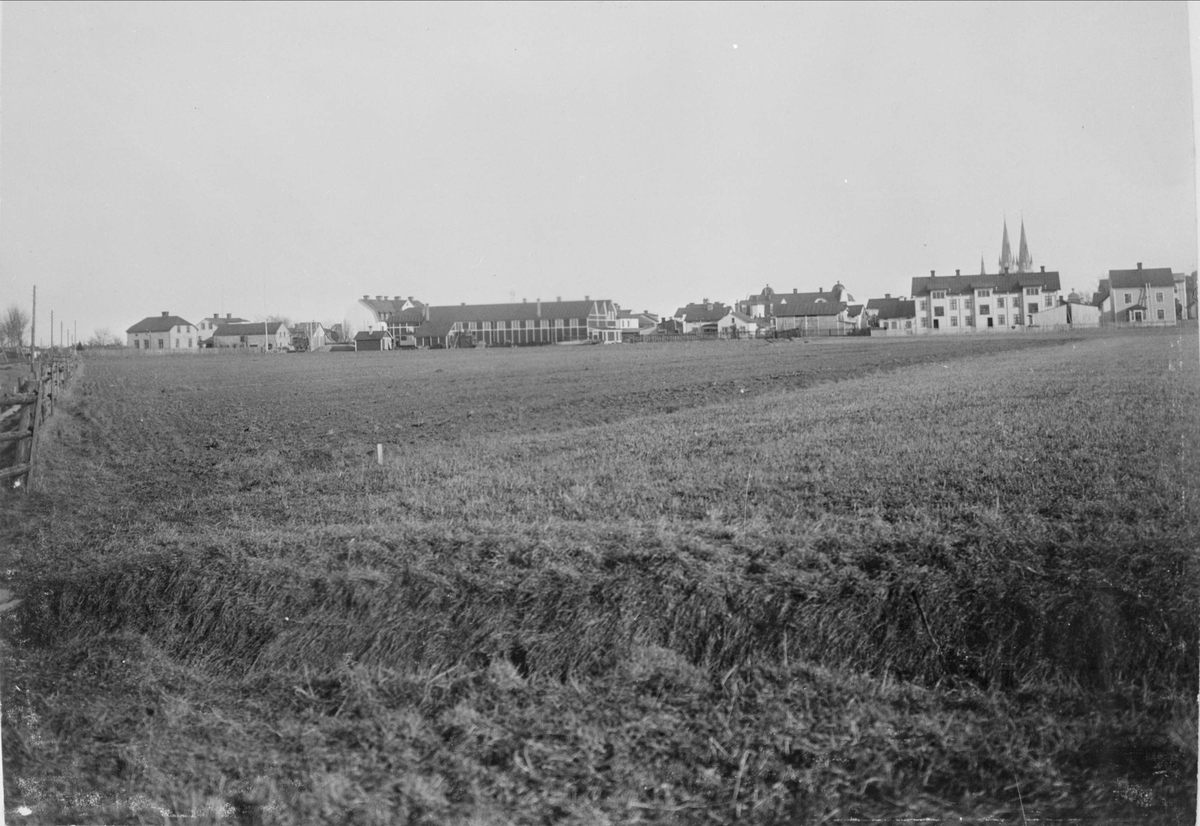 Alfred Dahlgren, Vy mot Uppsala från nordväst, 1908