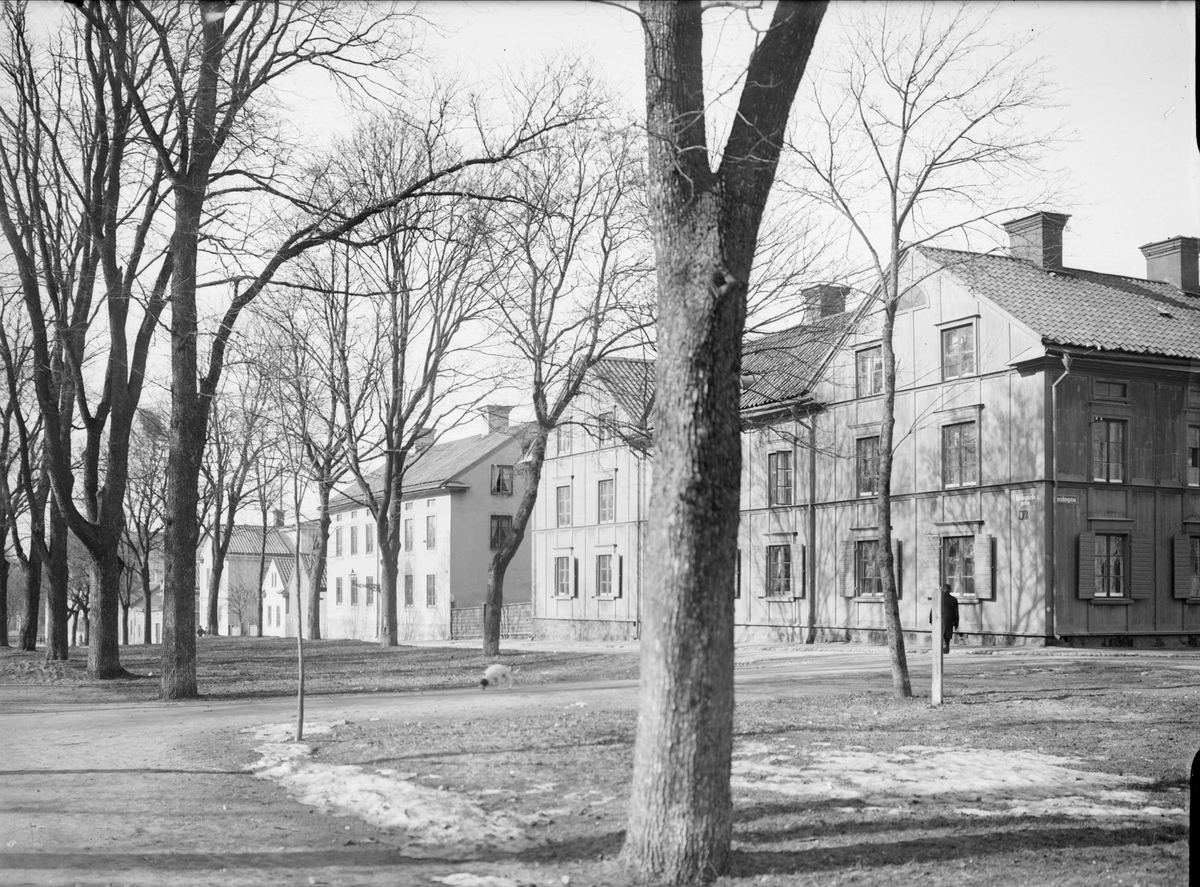 Alfred Dahlgren, The cemetery street at the intersection with St OlofsKyr, Fjärdingen, Uppsala 1901 - 1902