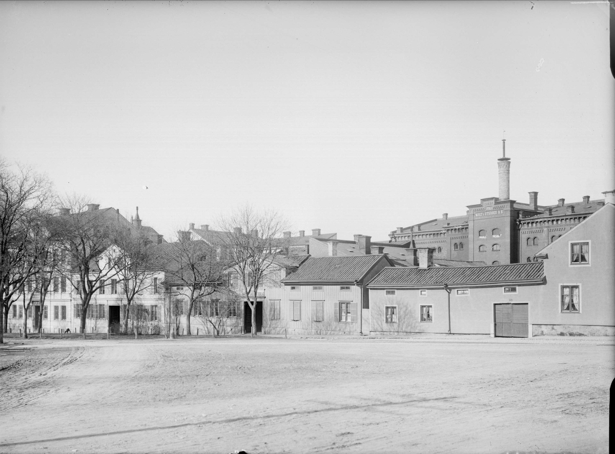 Alfred Dahlgren, Kyrkogårdsgatan från S:t Johannesgatan, kvarteret Hörnet, Fjärdingen, Uppsala 1901 - 1902