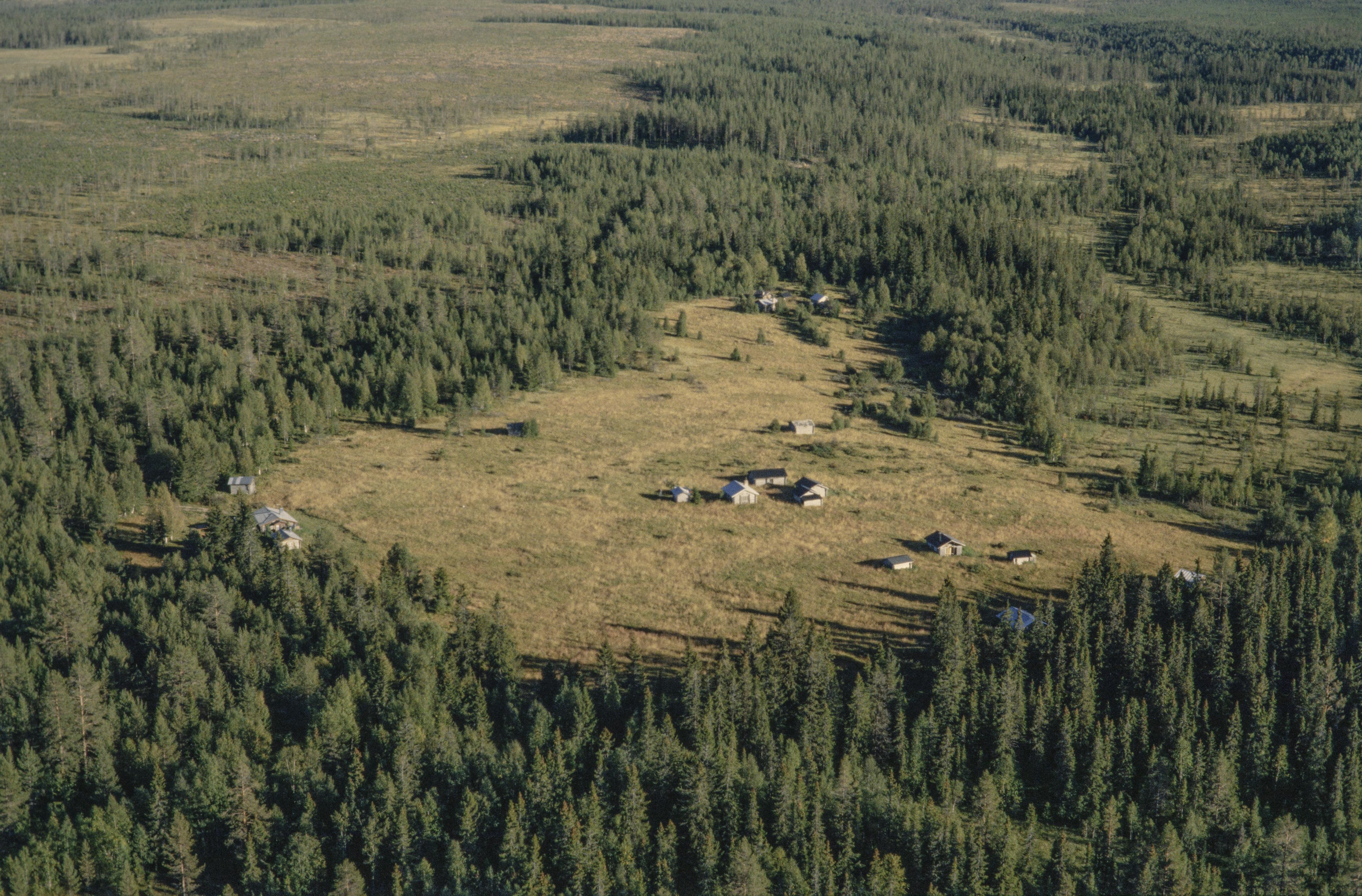 Jan Norrman, Kölsvallen