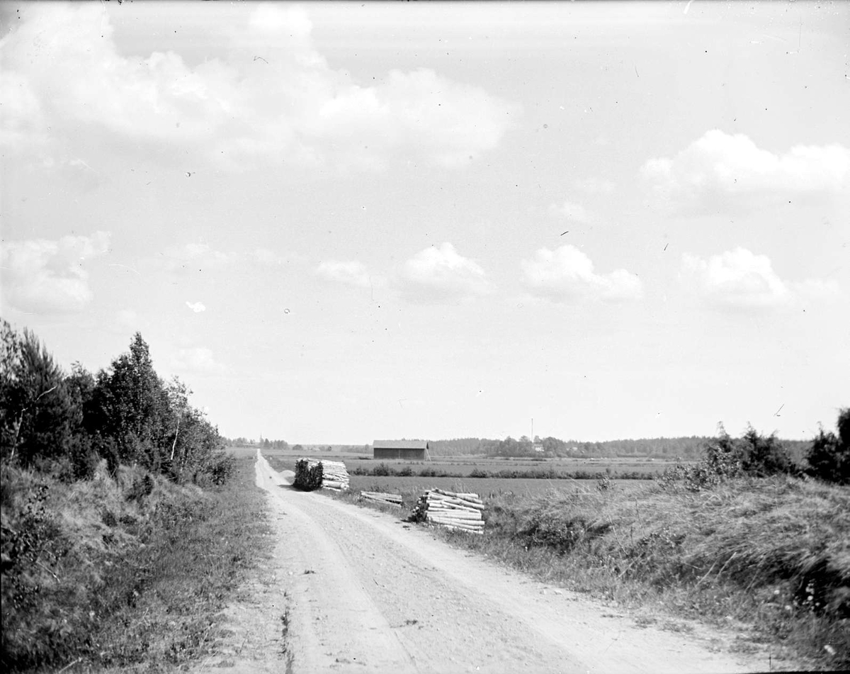 August Fredrik Schagerström, Timber stacks by road in the parish of Eneker, Uppland in May 1921