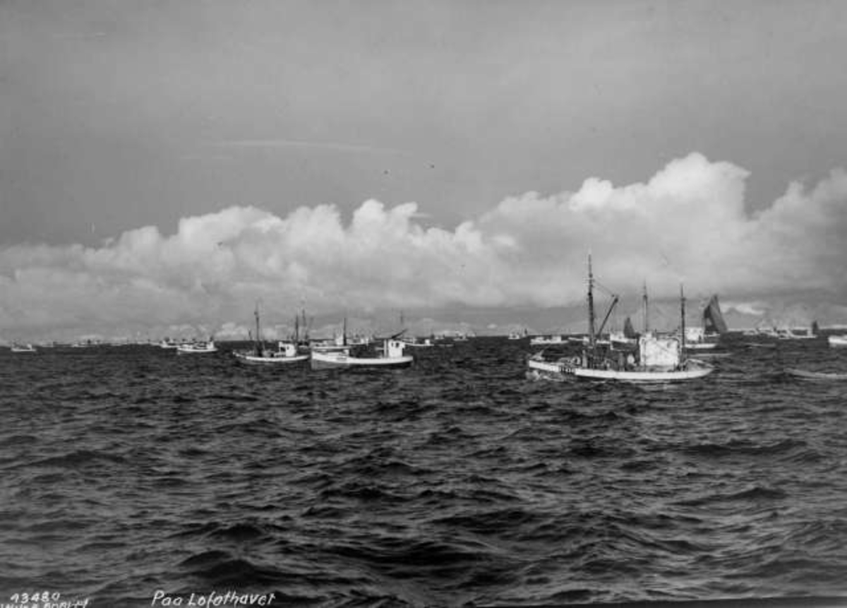 Anders Beer Wilse, -7386