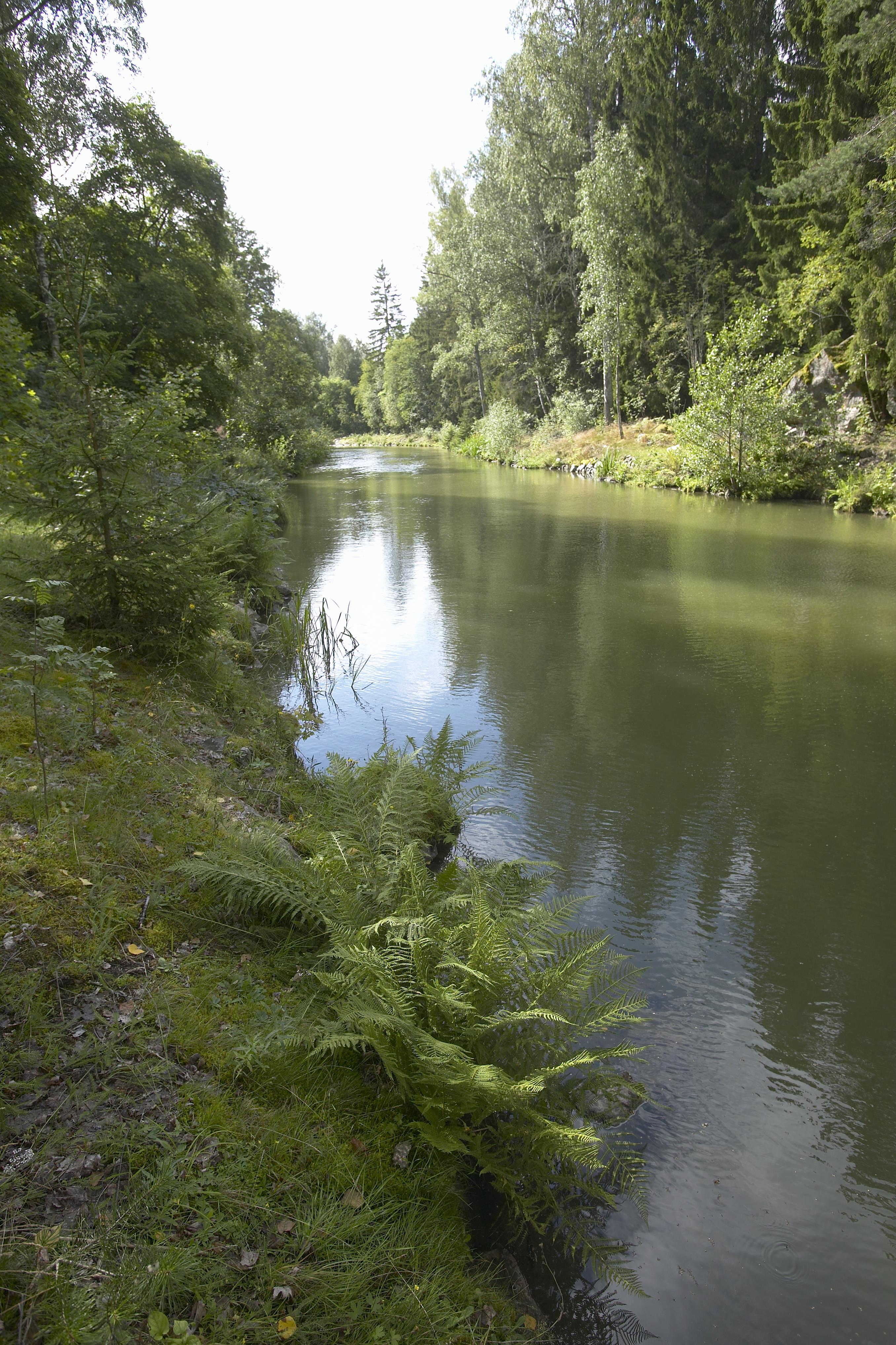 Bengt A Lundberg, Hjälmare kanal