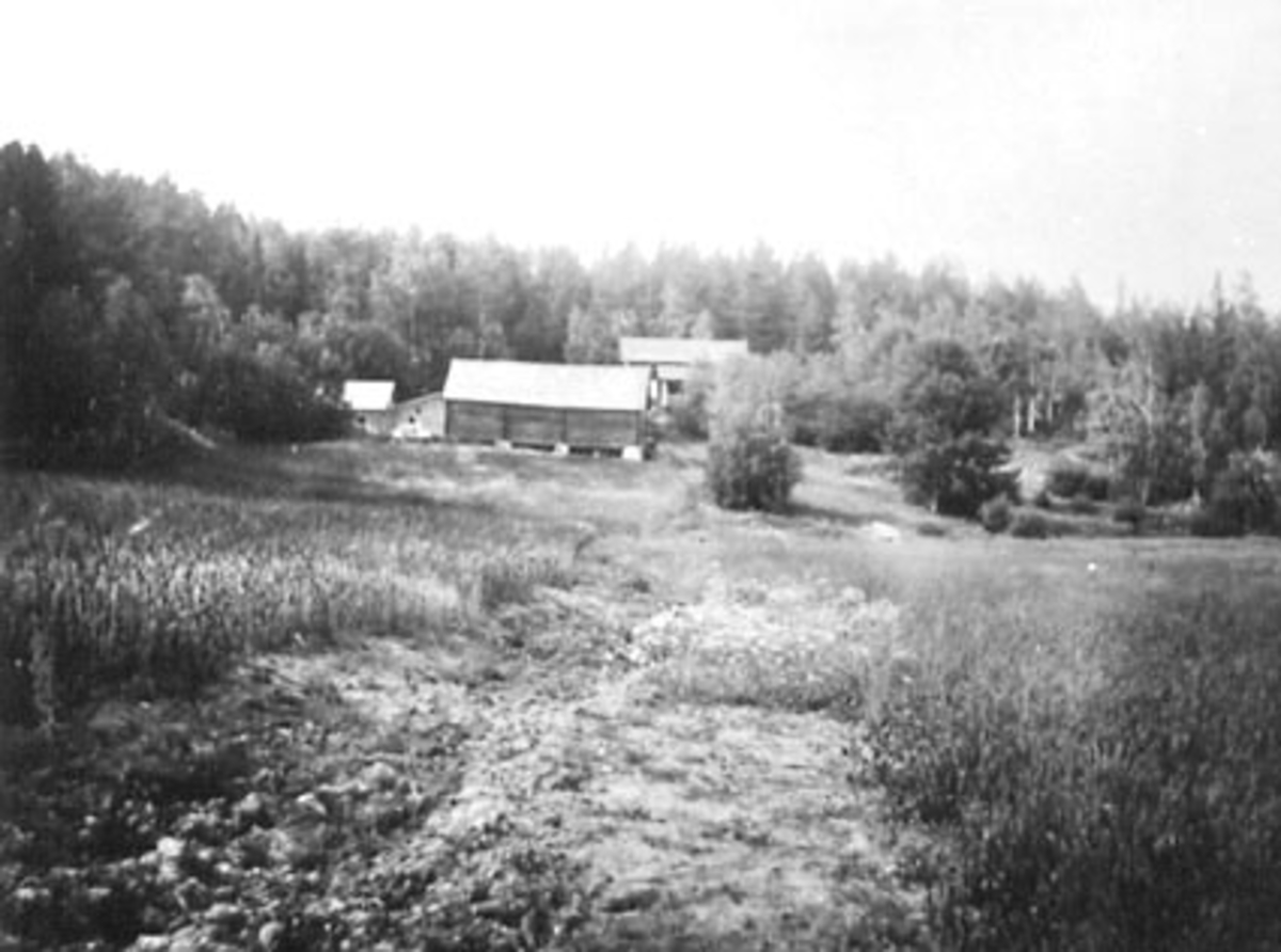 Anno Domkirkeodden, EKSTERIØR: HUSMANNSPLASS? SMÅBRUK, HELSETHMARKA, HELSETMARKEN, TANGEN,