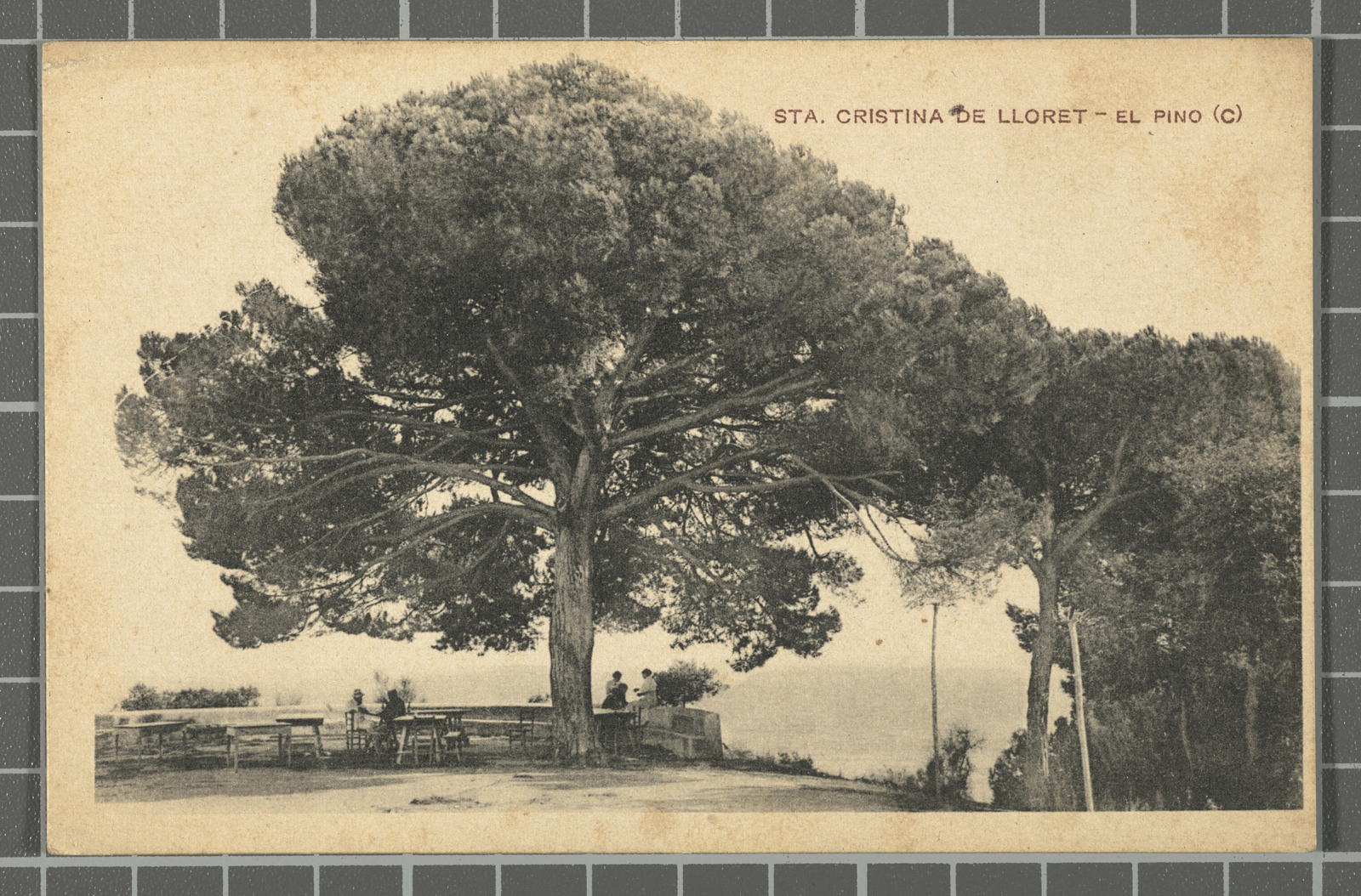 Desconegut, Sta. Cristina de Lloret - El Pino (C)